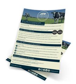 Yorvale Company Leaflet
