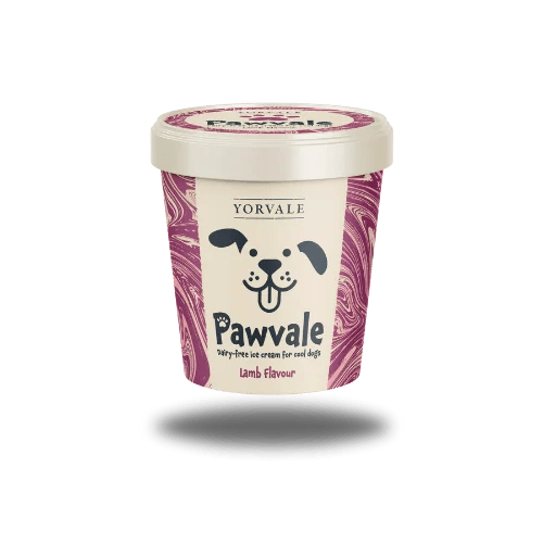 Lamb Flavoured Pawvale Ice Cream For Dogs