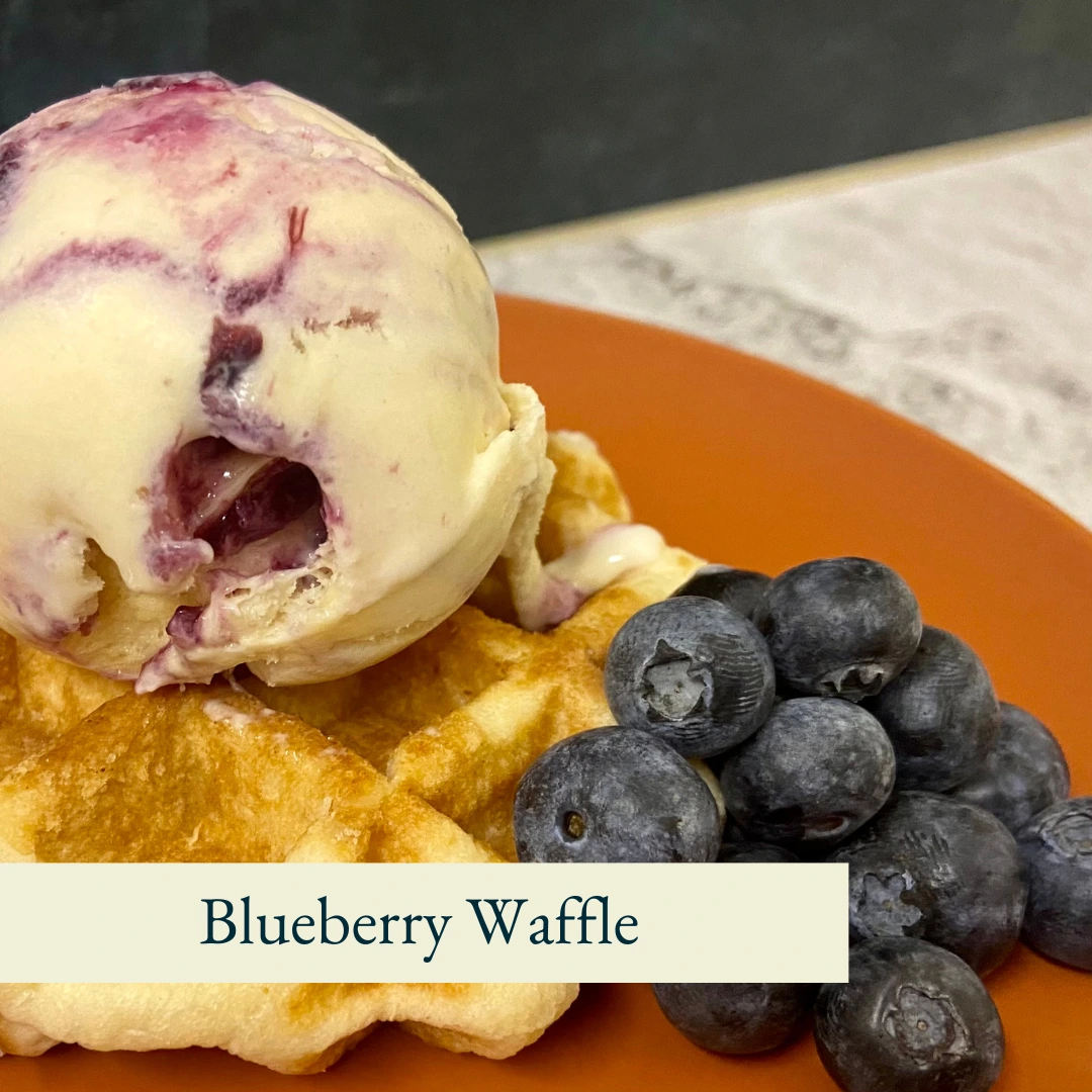 Blueberry Waffle